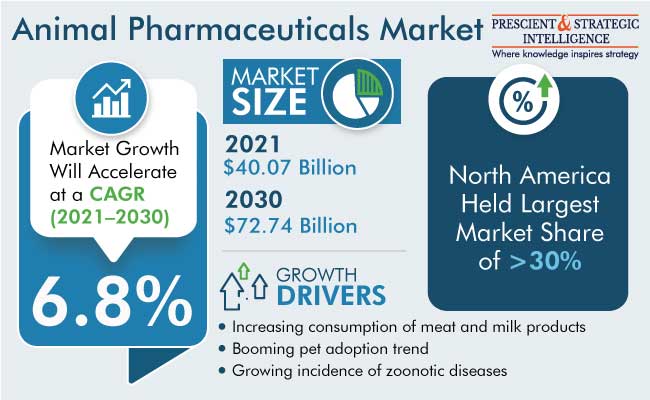 Animal Pharmaceuticals Market Size Analysis Report, 2022-2030