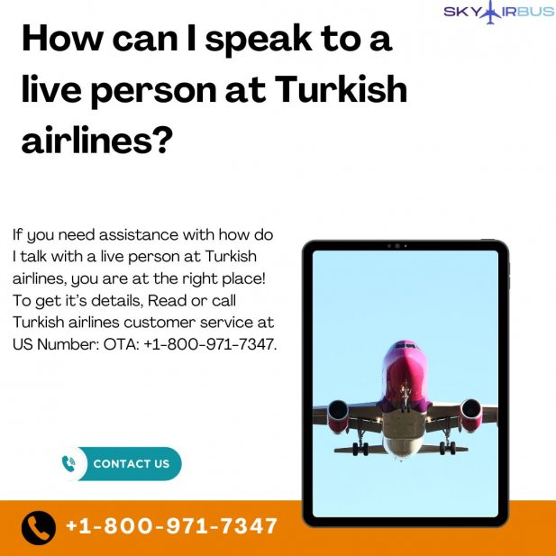 How do I speak to a live person at Turkish airlines? Article - ArticleTed -  News and Articles