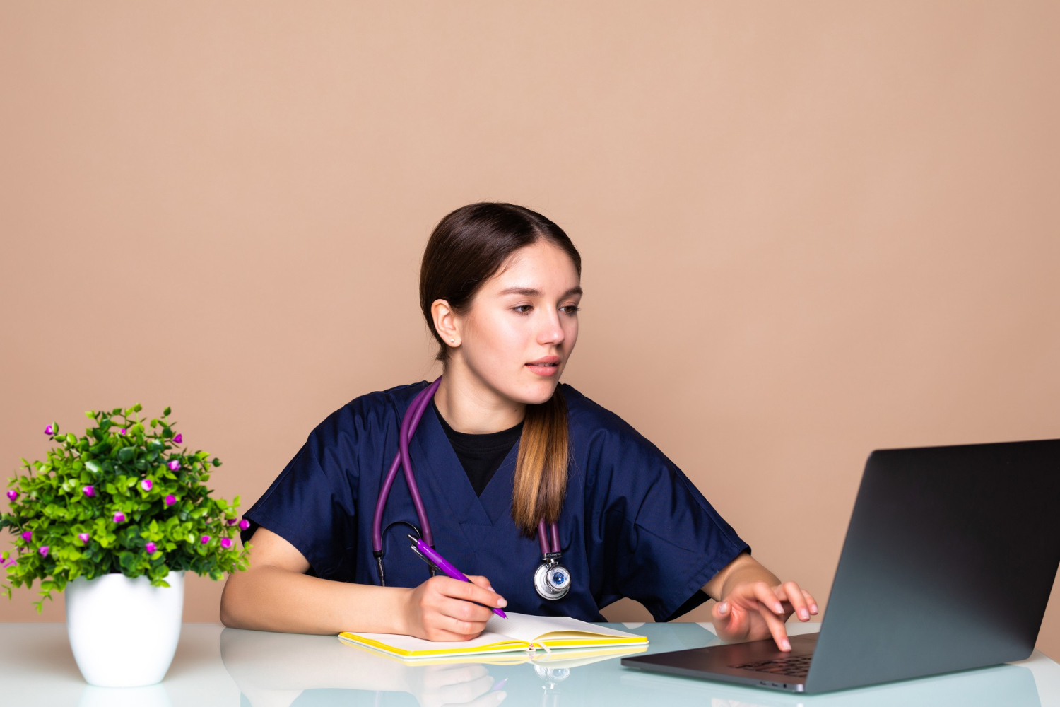 Best 3 Website Nursing Assignment Help Online in USA