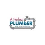 A Perfect Plumber