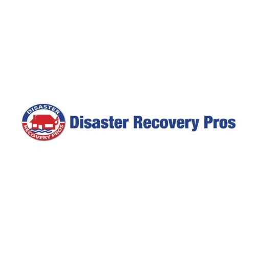 Disaster Recovery Pros