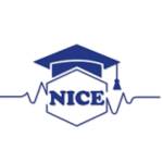 Niceit Services