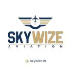 skywize pilot training in Chandigarh