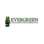 Evergreen irrigation