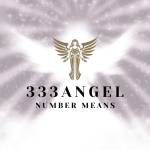 Anglenumber 333