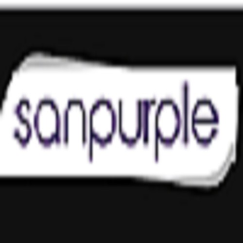 Digital Marketing Company In Pune by Sanpurple