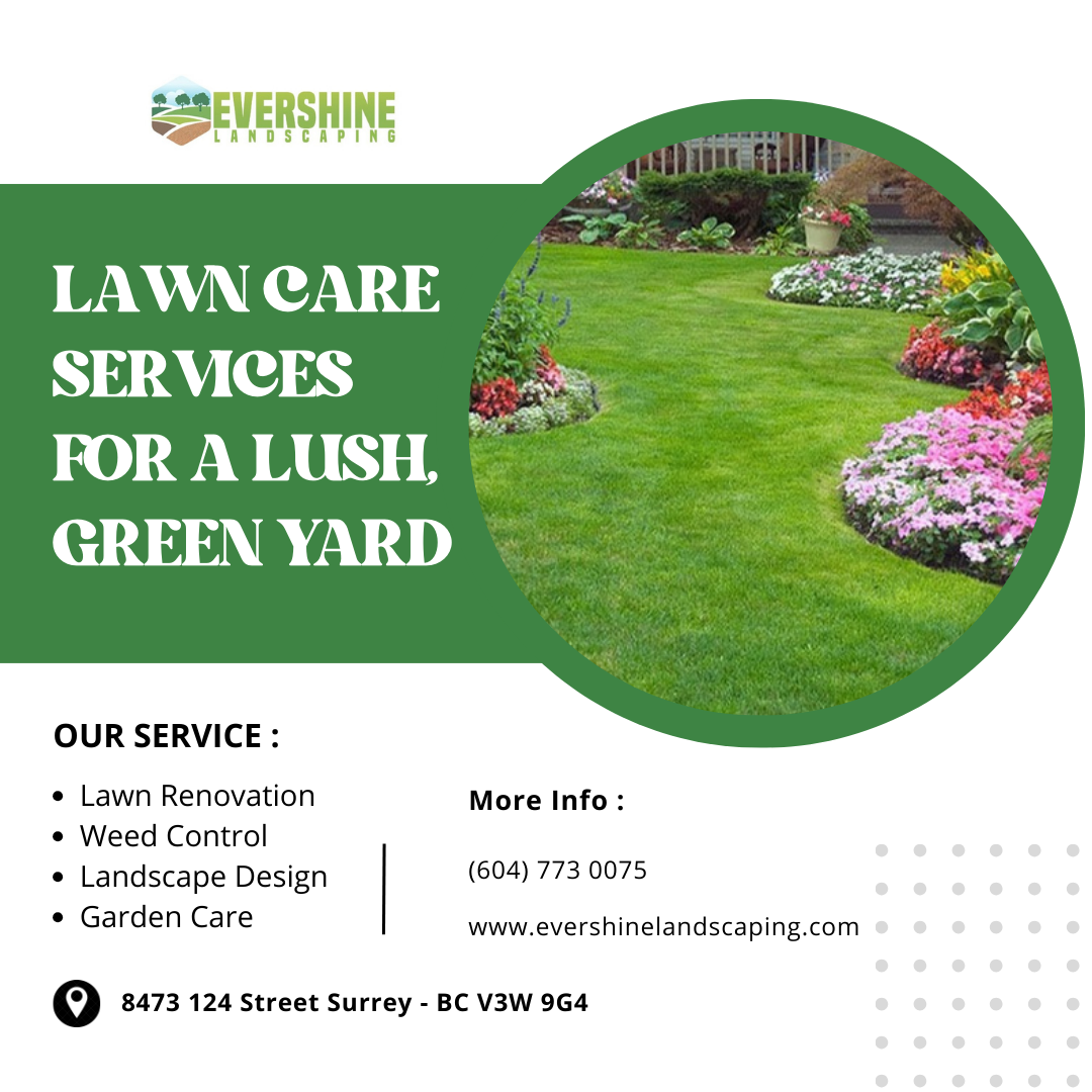 Lawn Care Services for a Lush, Green Yard - Evershine landscaping