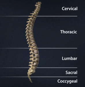 Spine Center Houston, TX | Spine Pain Specialist Near Me | Houston Spine and Joint Pain Consultants