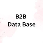 B2B database