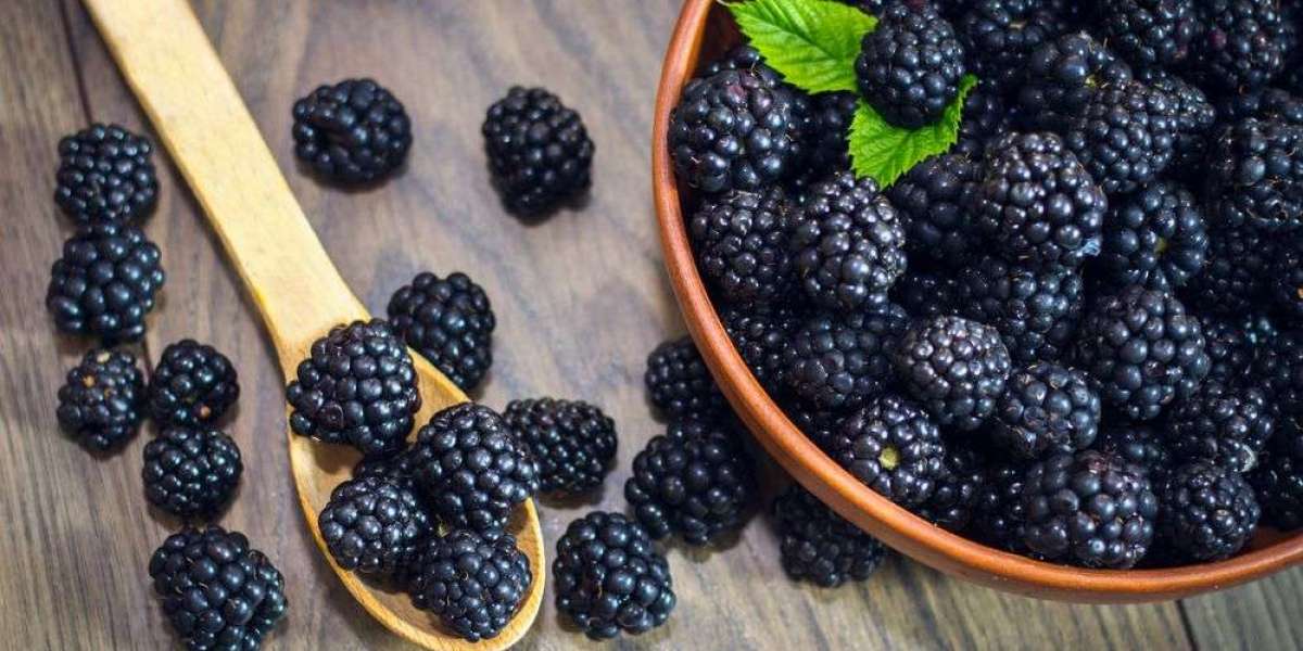 Simple Tips Before You Buy Blackberry Plants