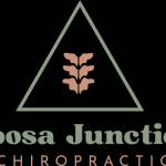 Noosa Junction Chiropractor