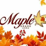 Maple grand