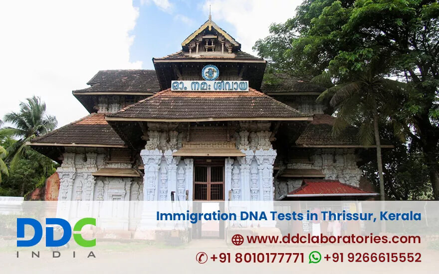 Immigration DNA Tests in Thrissur - DDC Laboratories India