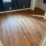 Professional Floor Refinishing