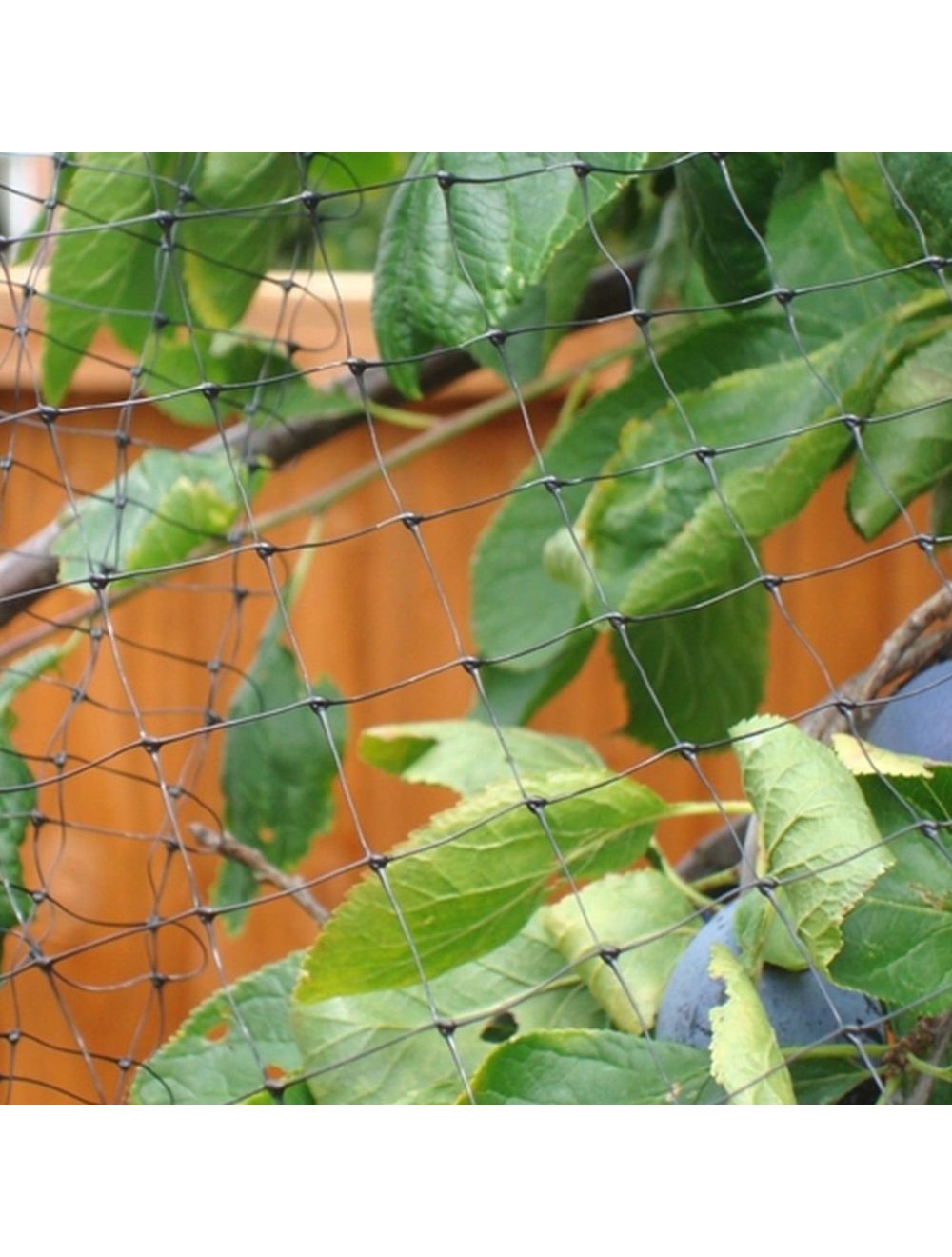 Fruit & Cage Protection Netting Mesh - Netting Store