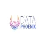 dataphoenix