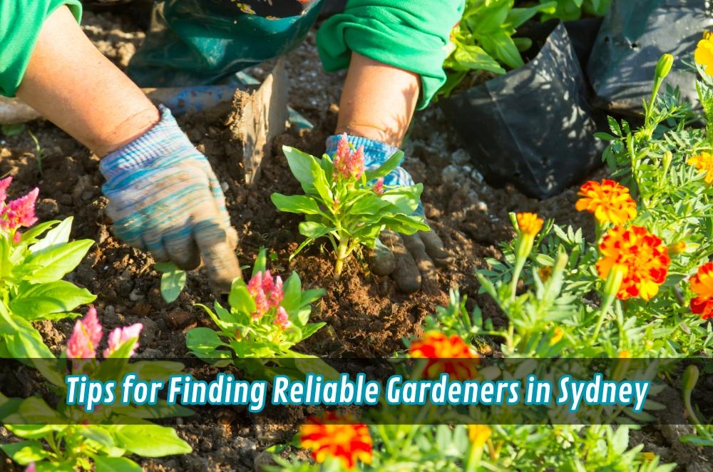Tips for Finding Reliable Gardeners in Sydney | JoyRulez