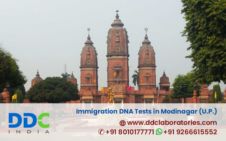 Immigration DNA Tests in Modinagar, Uttar Pradesh