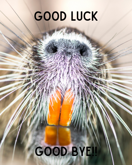 Free Funny Leaving Cards | Farewell & Goodbye Cards