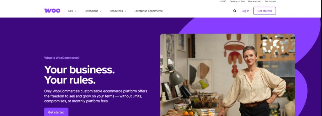 wordpress plugins