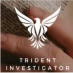tridentglobalhub
