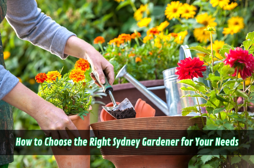 How to Choose the Right Sydney Gardener for Your Needs | LogCla.com