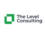 The Level Consulting