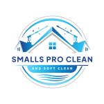 Smalls Pro Clean LLC
