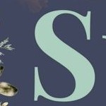 spruce india