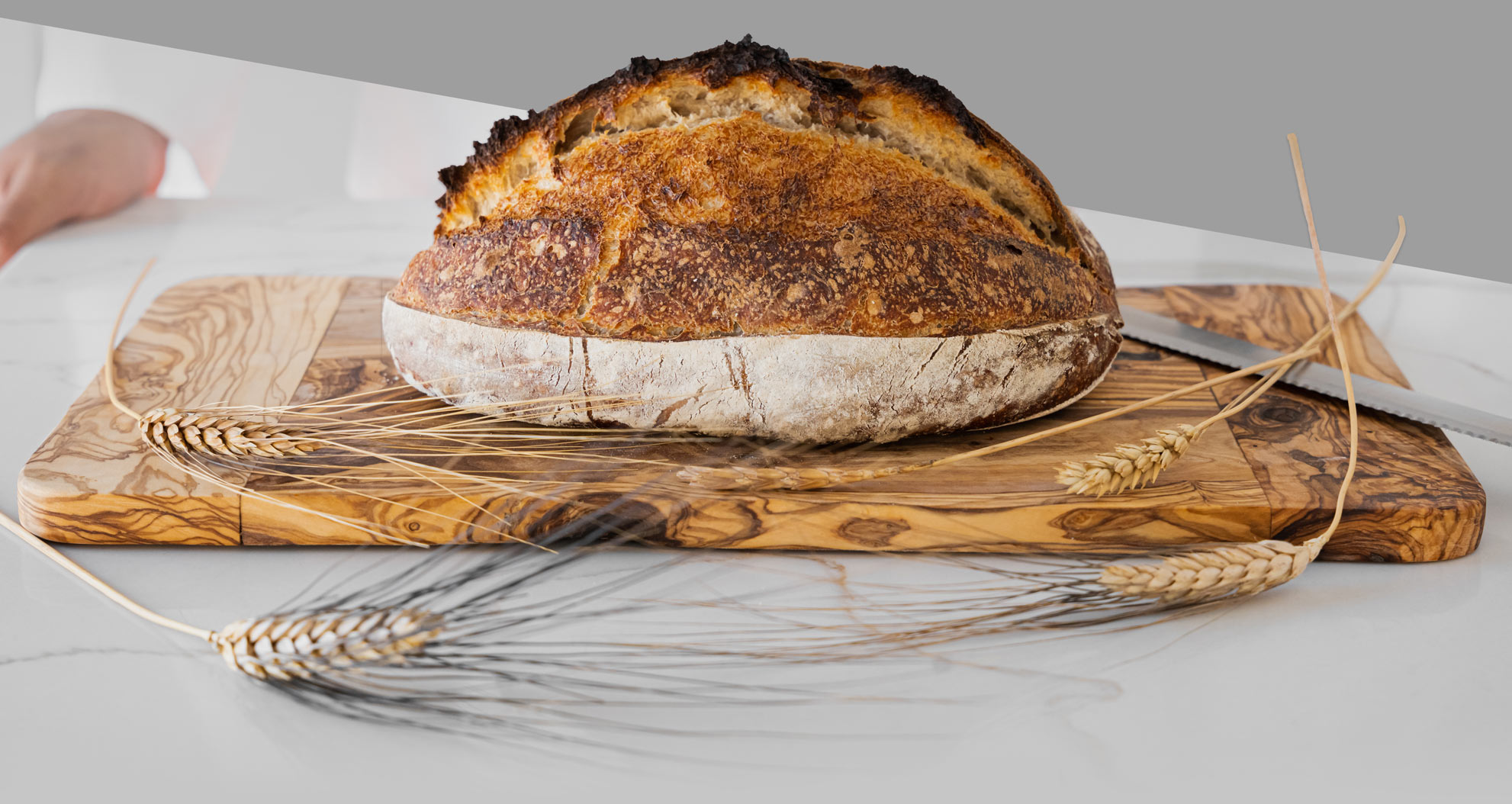 About - Italian Personal Chef in New York City | Pasquale Home Chef Manhattan | Alloro Private Dining