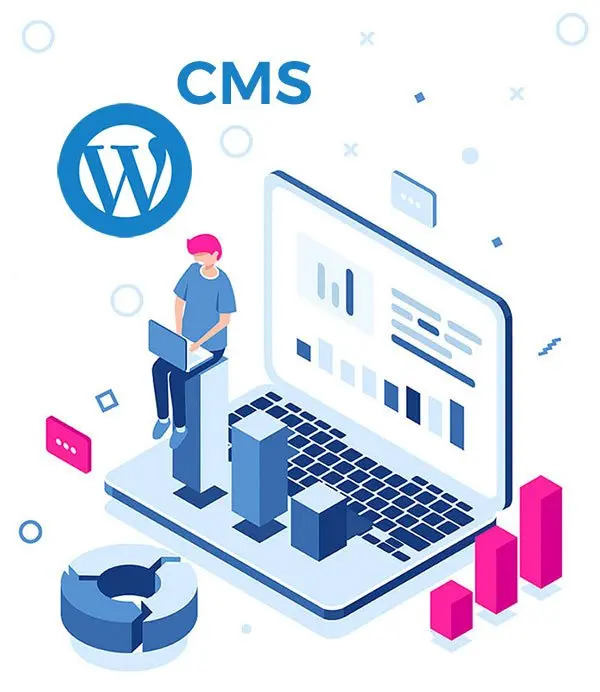 CMS Wordpress Development Company Services in USA