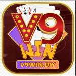 V9win Diy