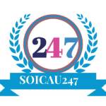 Soi Cầu 247
