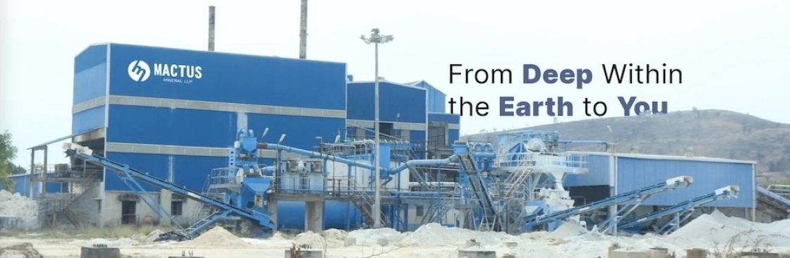Mactus Mineral LLP