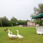 naugaon farms