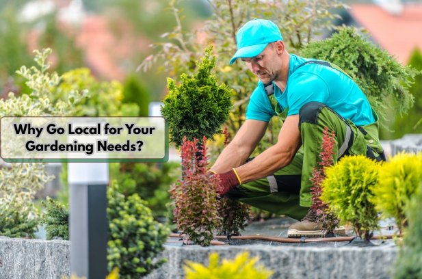 Why Go Local for Your Gardening Needs? Article - ArticleTed -  News and Articles