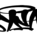 Syna World