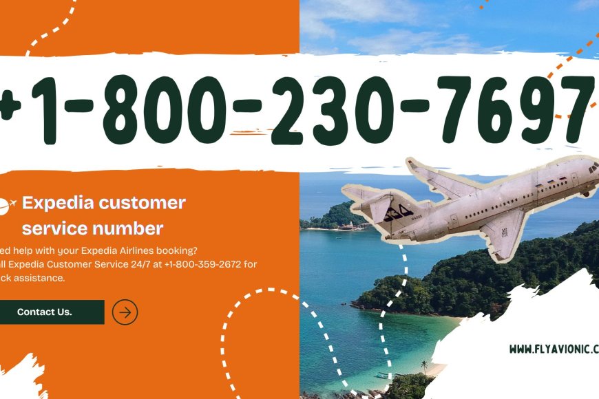 How Do I Speak to Someone at Expedia? Just Call Away!  OTA: +18002307697 - Memphis News Press