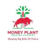 moneyplanttradingacademy