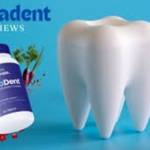 provadent official