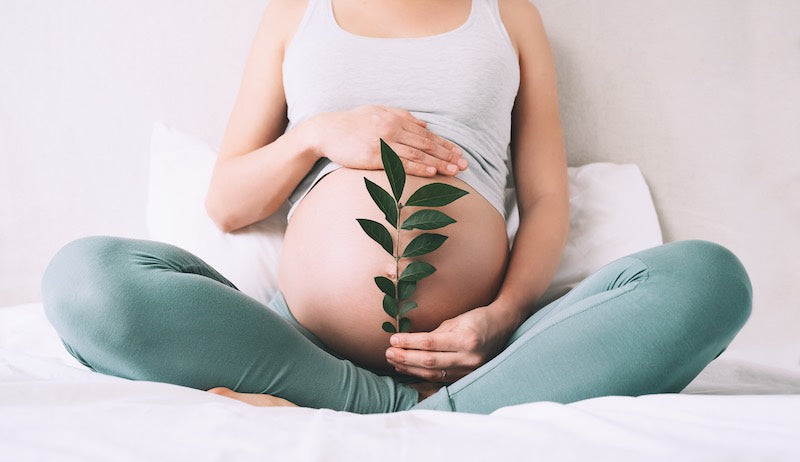 Maximizing Fertility with Myo-Inositol and D-Chiro Inositol
