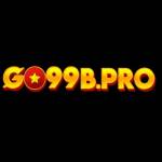Go99 BPro