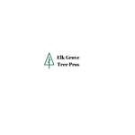 Elk Grove Tree Pros Pros