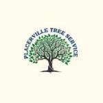 Placerville Tree Service