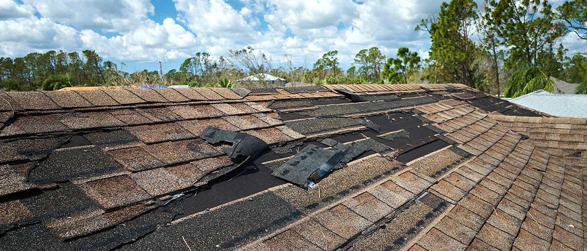 How to Choose the Best Shingle Roofing Repair Wellesley Services...