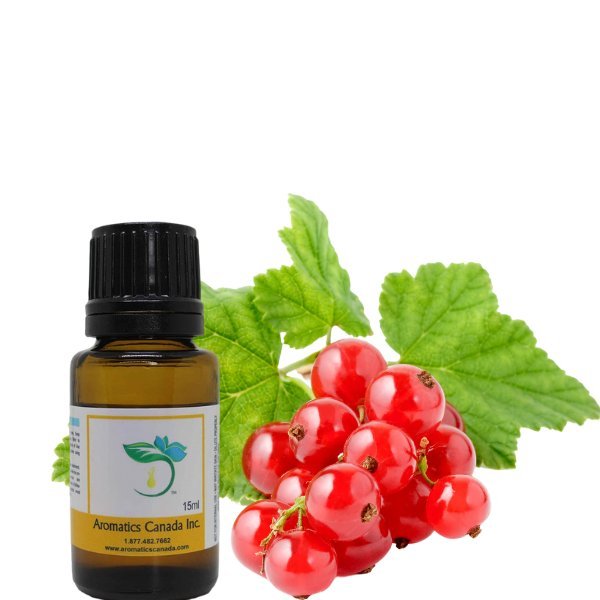 Red Currant & Thyme Tea Fragrant Oil - Aromatics Canada Inc.