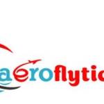 Aerofly Tickets