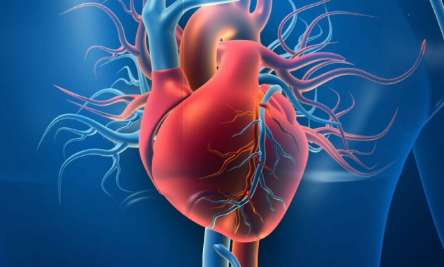 Best Cardiovascular Surgeon in Ahmedabad | Dr. Rasesh A. Pothiwala