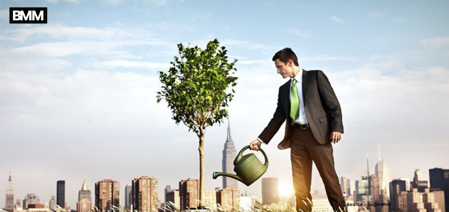 Green Business Ideas Opportunities for Entrepreneurs 2026 | Business Minds Media