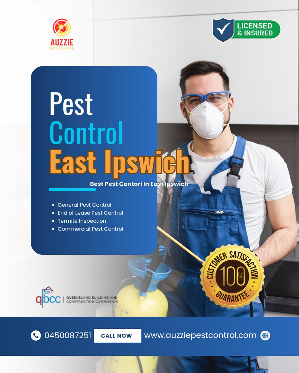 Best Pest Control Services in East Ipswich